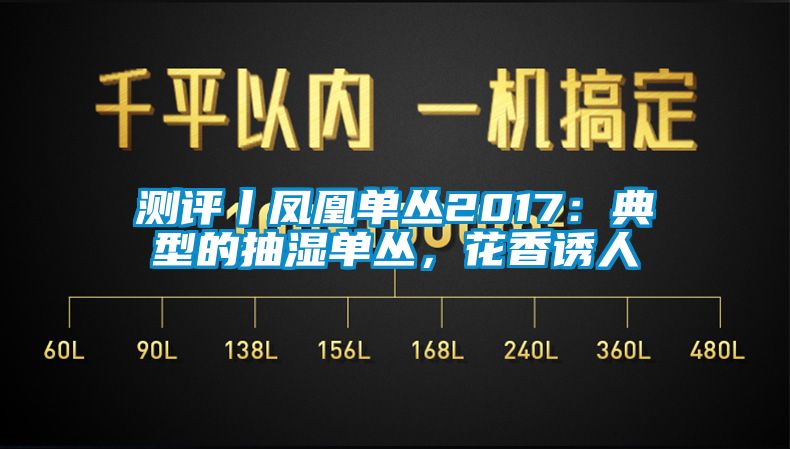 測(cè)評(píng)丨鳳凰單叢2017：典型的抽濕單叢，花香誘人