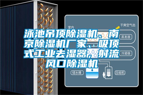 泳池吊頂除濕機、南京除濕機廠家、吸頂式工業(yè)去濕器，射流風口除濕機