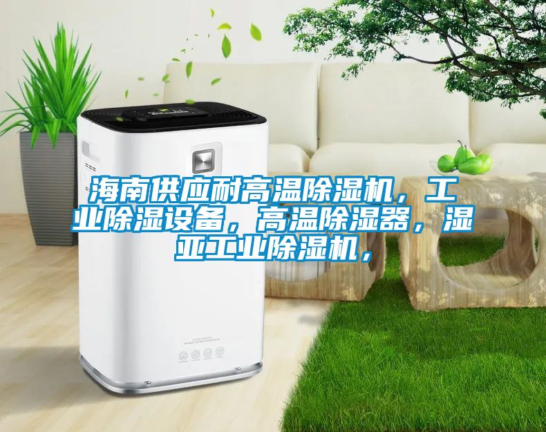 海南供應耐高溫除濕機，工業(yè)除濕設備，高溫除濕器，濕亞工業(yè)除濕機，