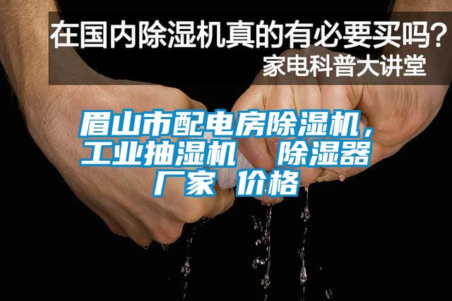 眉山市配電房除濕機，工業(yè)抽濕機  除濕器廠家 價格