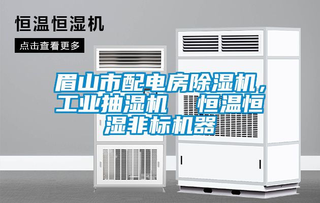 眉山市配電房除濕機(jī)，工業(yè)抽濕機(jī)  恒溫恒濕非標(biāo)機(jī)器