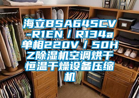 海立BSA645CV-R1EN／R134a單相220V／50HZ除濕機空調烘干恒溫干燥設備壓縮機