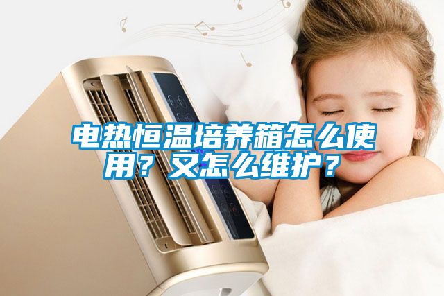 電熱恒溫培養(yǎng)箱怎么使用？又怎么維護？