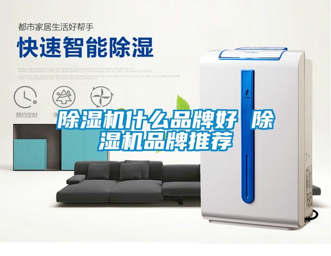 除濕機(jī)什么品牌好 除濕機(jī)品牌推薦