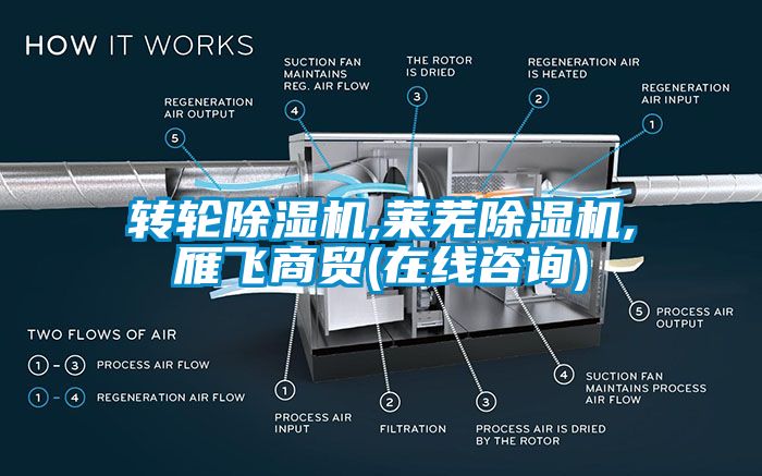 轉(zhuǎn)輪除濕機(jī),萊蕪除濕機(jī),雁飛商貿(mào)(在線咨詢)