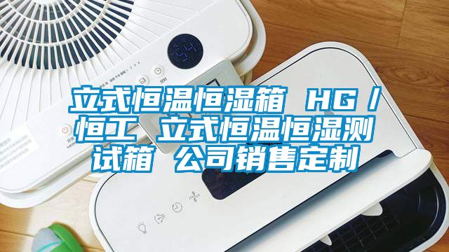 立式恒溫恒濕箱 HG／恒工 立式恒溫恒濕測試箱 公司銷售定制