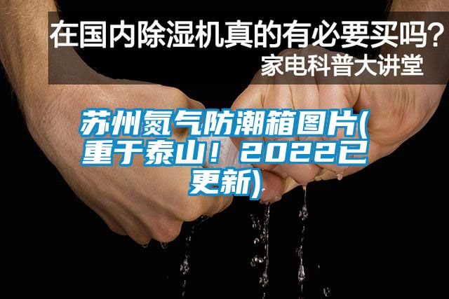 蘇州氮?dú)夥莱毕鋱D片(重于泰山！2022已更新)