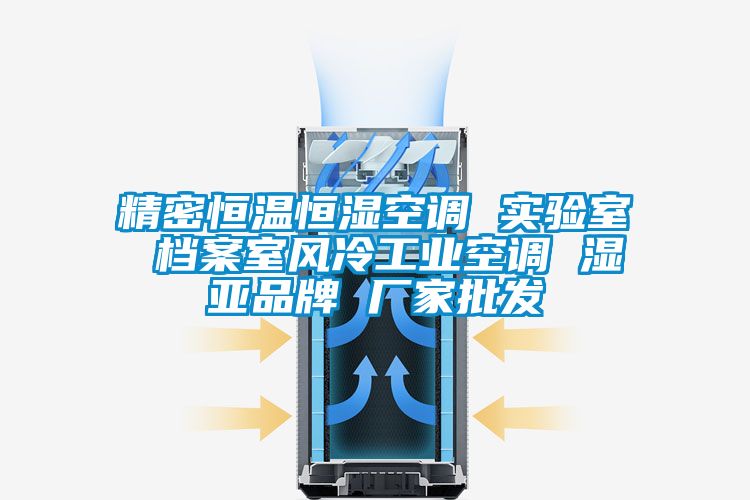 精密恒溫恒濕空調 實驗室 檔案室風冷工業(yè)空調 濕亞品牌 廠家批發(fā)