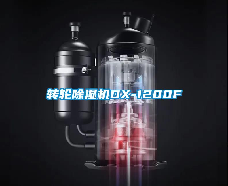 轉(zhuǎn)輪除濕機DX-1200F