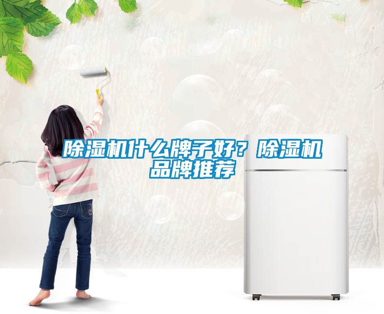 除濕機什么牌子好？除濕機品牌推薦