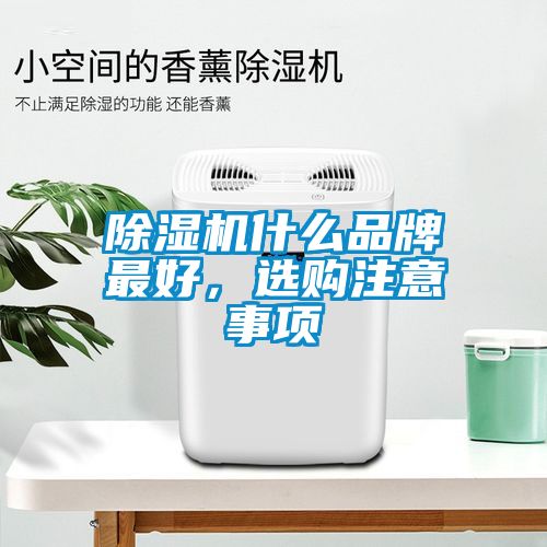 除濕機(jī)什么品牌最好，選購(gòu)注意事項(xiàng)