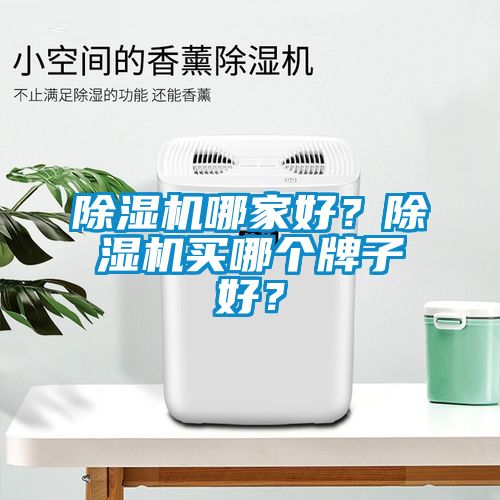 除濕機(jī)哪家好？除濕機(jī)買哪個(gè)牌子好？