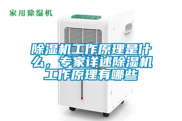 除濕機工作原理是什么，專家詳述除濕機工作原理有哪些