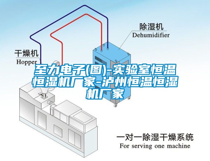 至力電子(圖)-實驗室恒溫恒濕機廠家-瀘州恒溫恒濕機廠家