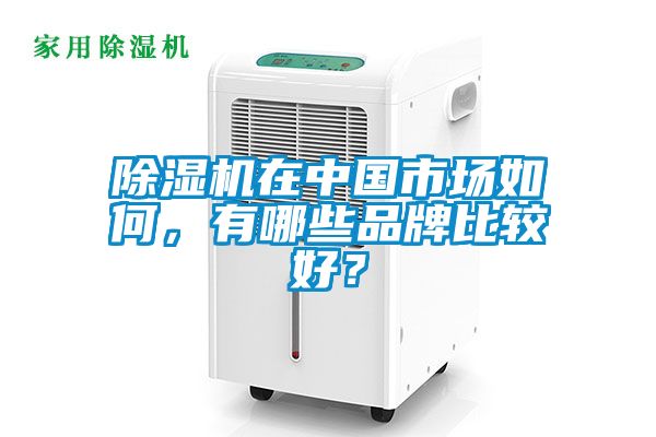 除濕機(jī)在中國市場如何，有哪些品牌比較好？