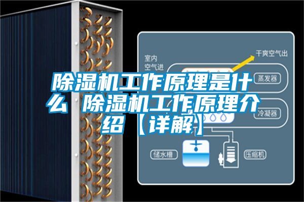 除濕機工作原理是什么 除濕機工作原理介紹【詳解】