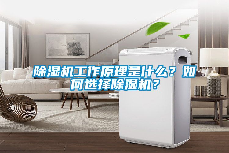 除濕機工作原理是什么？如何選擇除濕機？