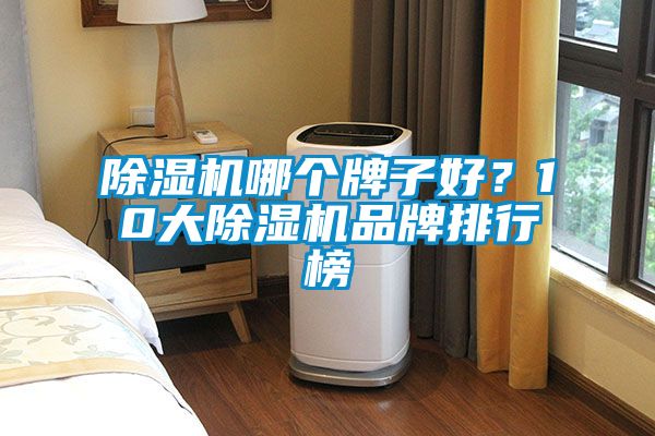 除濕機哪個牌子好？10大除濕機品牌排行榜