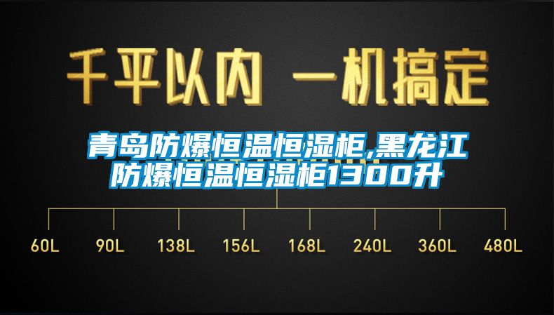 青島防爆恒溫恒濕柜,黑龍江防爆恒溫恒濕柜1300升