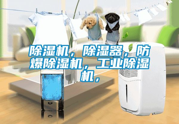 除濕機，除濕器，防爆除濕機，工業(yè)除濕機，