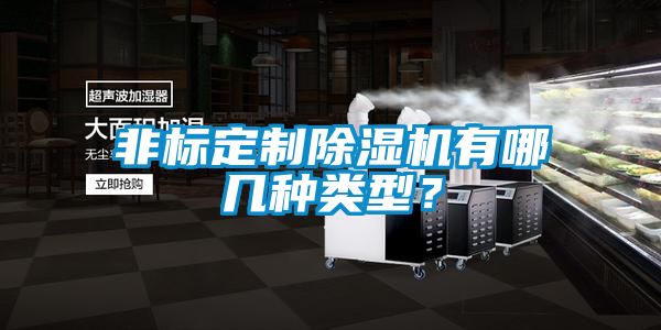 非標定制除濕機有哪幾種類型？