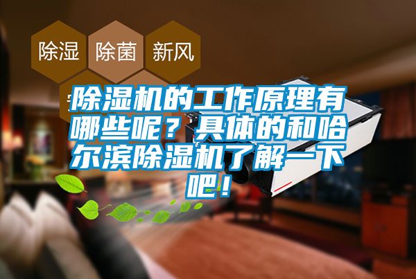 除濕機的工作原理有哪些呢？具體的和哈爾濱除濕機了解一下吧！