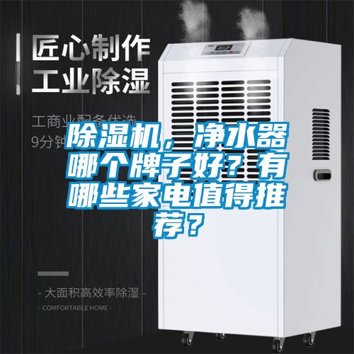 除濕機(jī)，凈水器哪個牌子好？有哪些家電值得推薦？