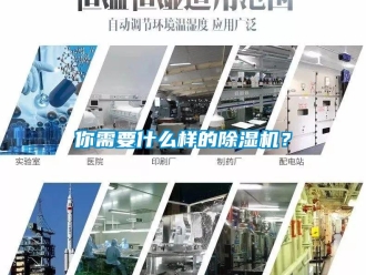 行業(yè)新聞你需要什么樣的除濕機？